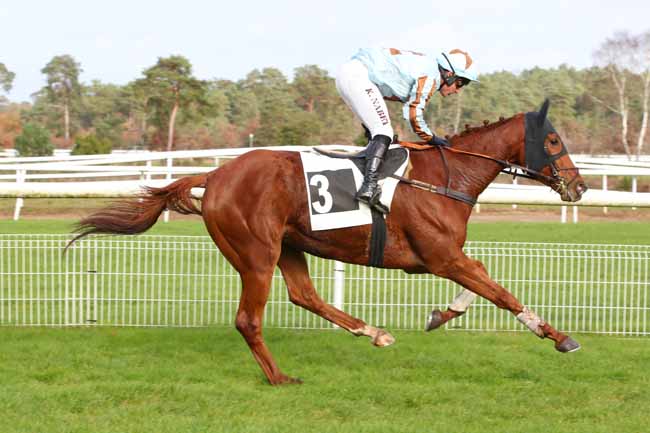 Photo d'arrivée de la course pmu PRIX TREMAILLE à FONTAINEBLEAU le Lundi 20 novembre 2023
