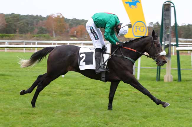 Photo d'arrivée de la course pmu PRIX DE MACHERIN à FONTAINEBLEAU le Lundi 20 novembre 2023