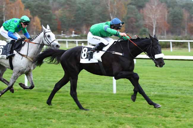 Photo d'arrivée de la course pmu PRIX PAIUTE à FONTAINEBLEAU le Lundi 20 novembre 2023