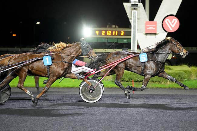 Photo d'arrivée de la course pmu PRIX TERCIDINA à PARIS-VINCENNES le Mardi 21 novembre 2023