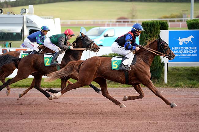 Photo d'arrivée de la course pmu PRIX DU CONSEIL DEPARTEMENTAL DE SEINE-MARITIME - JEAN MAIZERET à MAUQUENCHY le Mercredi 22 novembre 2023
