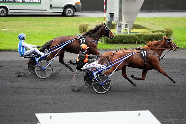 Photo d'arrivée de la course pmu PRIX DE MONTELIMAR à PARIS-VINCENNES le Jeudi 23 novembre 2023