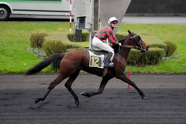Photo d'arrivée de la course pmu PRIX URGENT à PARIS-VINCENNES le Jeudi 23 novembre 2023