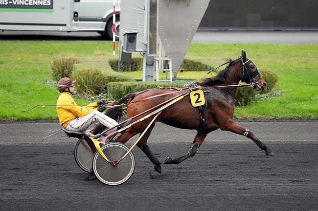 Photo d'arrivée de la course pmu PRIX DE VALENCE-SUR-BAISE à PARIS-VINCENNES le Jeudi 23 novembre 2023