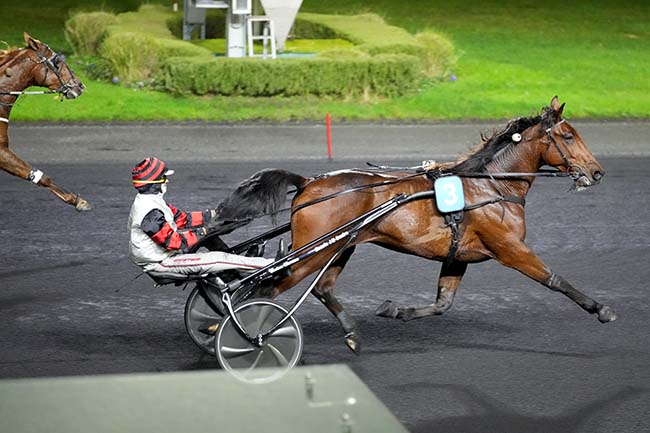 Photo d'arrivée de la course pmu PRIX DE LA CAMARGUE à PARIS-VINCENNES le Jeudi 23 novembre 2023