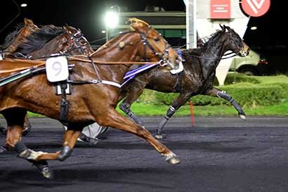 Photo d'arrivée de la course pmu PRIX TRITON à PARIS-VINCENNES le Vendredi 24 novembre 2023