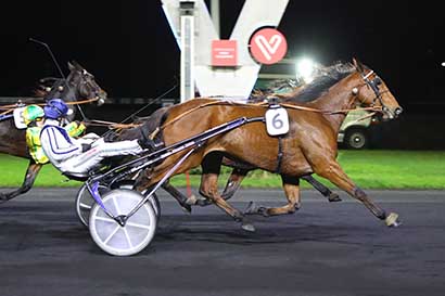 Photo d'arrivée de la course pmu PRIX OSTARA à PARIS-VINCENNES le Vendredi 24 novembre 2023