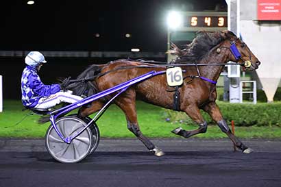Photo d'arrivée de la course pmu PRIX DE L'INSTITUT DU DROIT EQUIN à PARIS-VINCENNES le Vendredi 24 novembre 2023