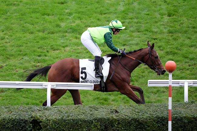 Photo d'arrivée de la course pmu PRIX DE LA FONTAINE à SAINT CLOUD le Vendredi 24 novembre 2023