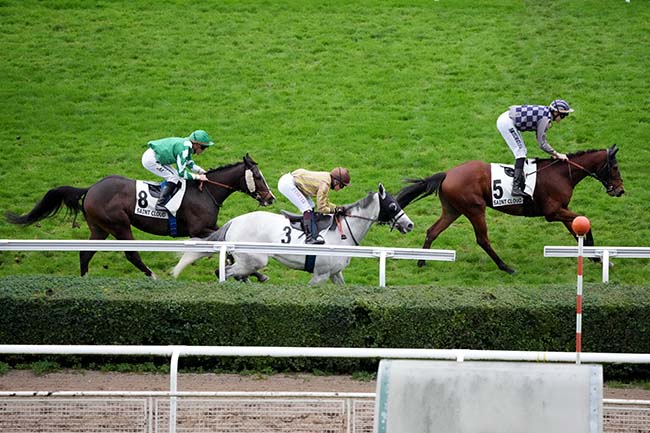 Photo d'arrivée de la course pmu PRIX DE L'HUREPOIX à SAINT CLOUD le Vendredi 24 novembre 2023