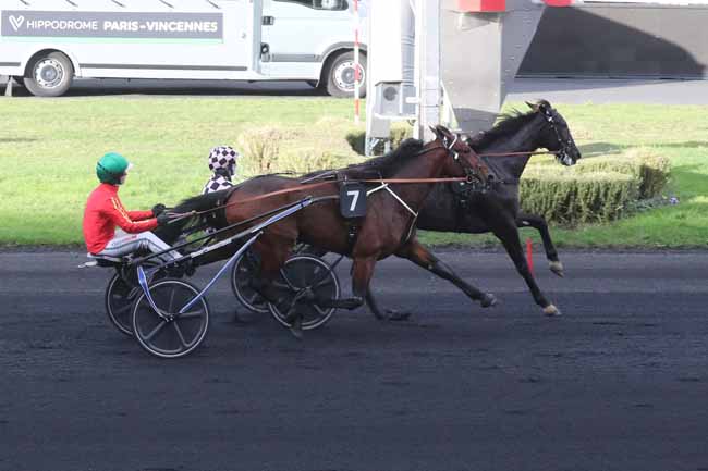 Photo d'arrivée de la course pmu PRIX TIMOKO à PARIS-VINCENNES le Samedi 25 novembre 2023
