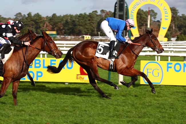 Photo d'arrivée de la course pmu PRIX RENAULT (PRIX DE LA TOUCHE AUX MULETS) à FONTAINEBLEAU le Samedi 25 novembre 2023