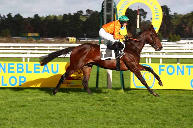 Photo d'arrivée de la course pmu PRIX YVES SAINT-MARTIN (PRIX DU MONT PIERREUX) à FONTAINEBLEAU le Samedi 25 novembre 2023