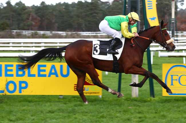 Photo d'arrivée de la course pmu PRIX CHLORIS à FONTAINEBLEAU le Samedi 25 novembre 2023