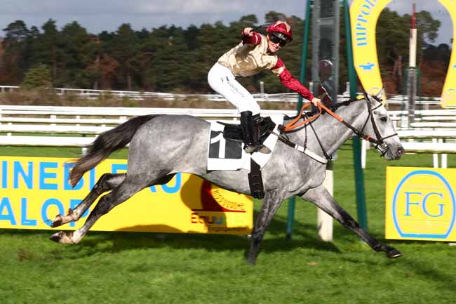 Photo d'arrivée de la course pmu PRIX JACQUES DE VIENNE à FONTAINEBLEAU le Samedi 25 novembre 2023