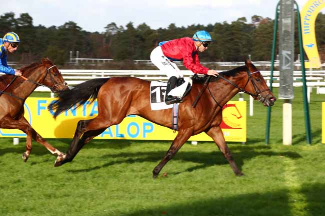 Photo d'arrivée de la course pmu PRIX CERES à FONTAINEBLEAU le Samedi 25 novembre 2023