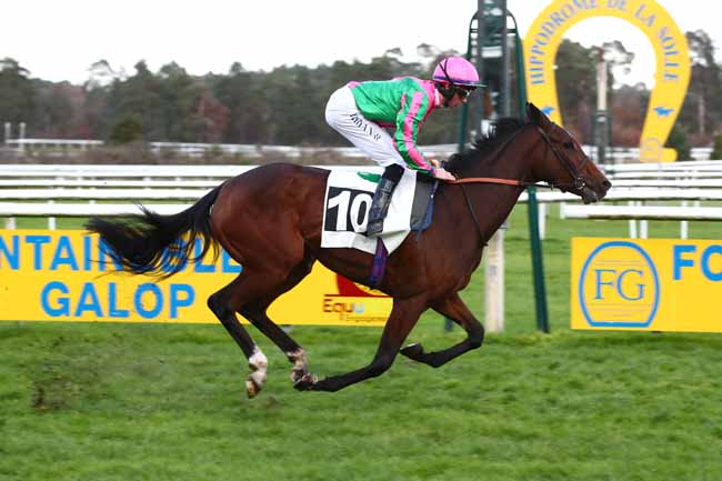 Photo d'arrivée de la course pmu GRAND PRIX DE FONTAINEBLEAU - FONDS EUROPEEN DE L'ELEVAGE à FONTAINEBLEAU le Samedi 25 novembre 2023