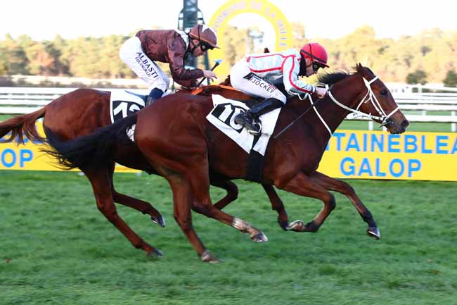 Photo d'arrivée de la course pmu PRIX DE LOUISE (PRIX DU BELVEDERE DES DRUIDES) à FONTAINEBLEAU le Samedi 25 novembre 2023