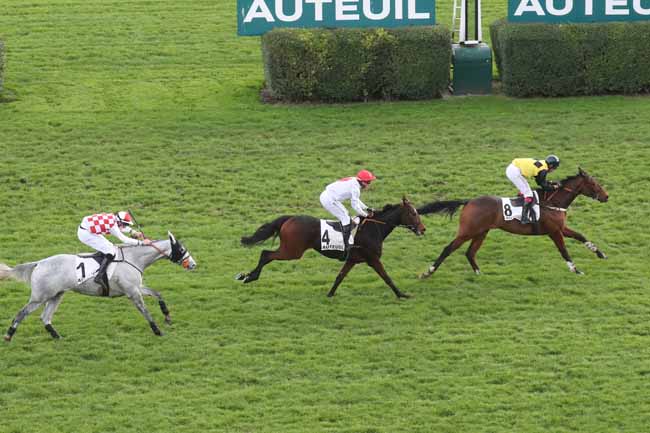 Photo d'arrivée de la course pmu PRIX LE PONTET à AUTEUIL le Dimanche 26 novembre 2023