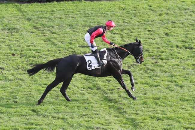 Photo d'arrivée de la course pmu PRIX GENERAL DONNIO à AUTEUIL le Dimanche 26 novembre 2023