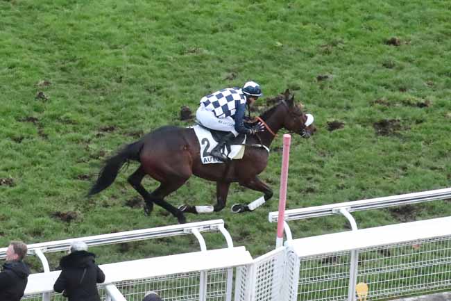Photo d'arrivée de la course pmu PRIX GERARD PHILIPPEAU à AUTEUIL le Dimanche 26 novembre 2023