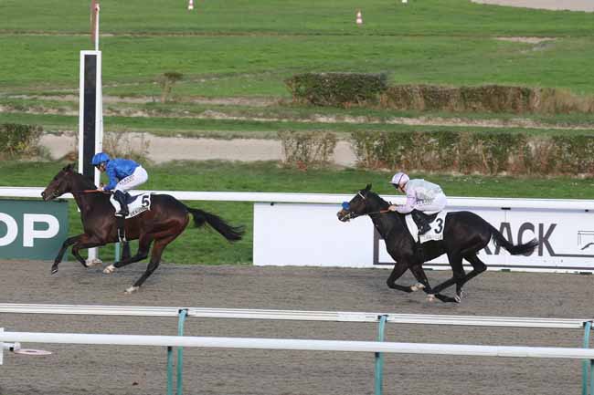 Photo d'arrivée de la course pmu PRIX DE BAGNOLES-DE-L'ORNE à DEAUVILLE le Mardi 28 novembre 2023