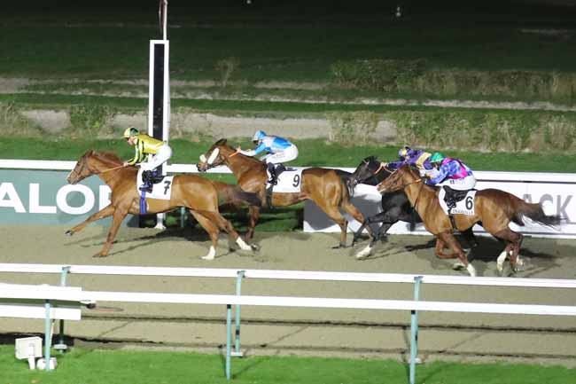 Photo d'arrivée de la course pmu PRIX D'UTAH BEACH à DEAUVILLE le Mardi 28 novembre 2023