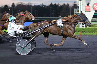 Photo d'arrivée de la course pmu PRIX DE JULLOUVILLE à PARIS-VINCENNES le Mardi 28 novembre 2023