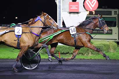 Photo d'arrivée de la course pmu PRIX FLORENTINA à PARIS-VINCENNES le Mardi 28 novembre 2023
