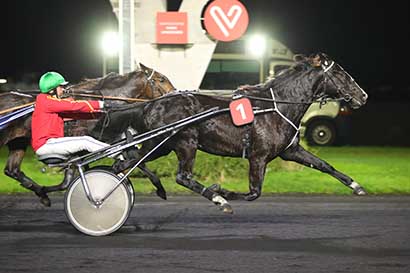 Photo d'arrivée de la course pmu PRIX DES ANEMONES à PARIS-VINCENNES le Mardi 28 novembre 2023