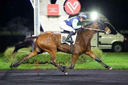 Photo d'arrivée de la course pmu PRIX DE MASSIAC à PARIS-VINCENNES le Mardi 28 novembre 2023