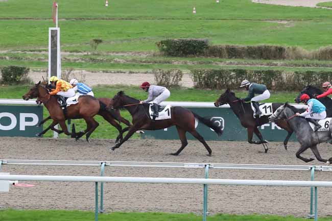 Photo d'arrivée de la course pmu PRIX DE MONTFORT à DEAUVILLE le Mercredi 29 novembre 2023