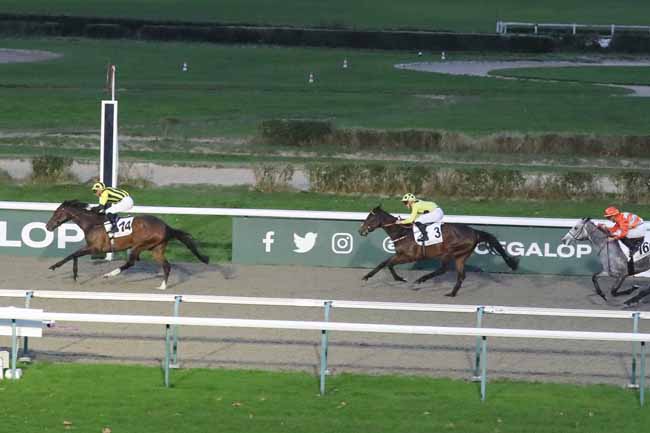 Photo d'arrivée de la course pmu PRIX MISS SATAMIXA - FONDS EUROPEEN DE L'ELEVAGE à DEAUVILLE le Mercredi 29 novembre 2023