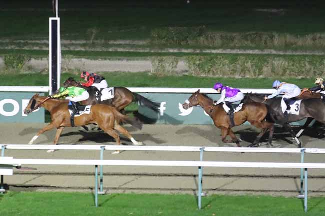 Photo d'arrivée de la course pmu PRIX DE LA HALLE AU BEURRE à DEAUVILLE le Mercredi 29 novembre 2023