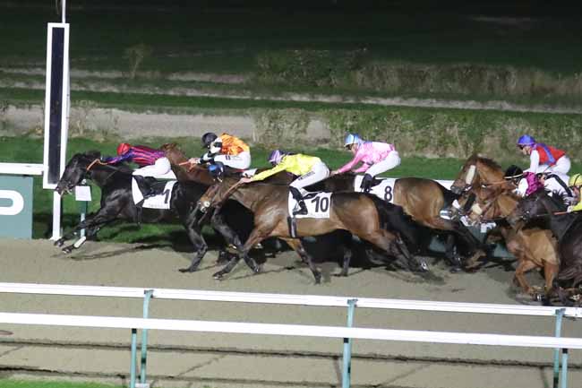 Photo d'arrivée de la course pmu PRIX DE LA VILLA ORPHEE à DEAUVILLE le Mercredi 29 novembre 2023