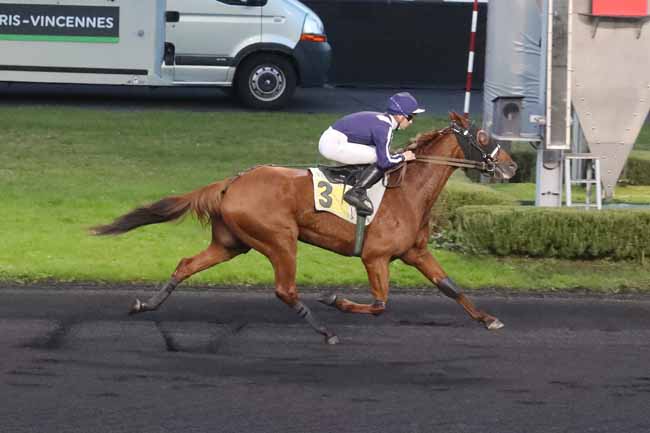 Photo d'arrivée de la course pmu PRIX PAUL BUQUET à PARIS-VINCENNES le Jeudi 30 novembre 2023