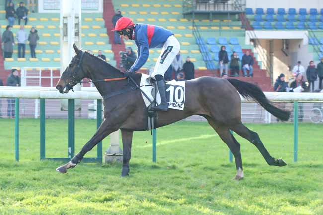 Photo d'arrivée de la course pmu PRIX HAMILTON à COMPIEGNE le Jeudi 30 novembre 2023