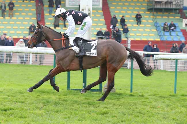 Photo d'arrivée de la course pmu PRIX LEOPOLD D'ORSETTI - GRANDE COURSE DE HAIES DE COMPIEGNE à COMPIEGNE le Jeudi 30 novembre 2023