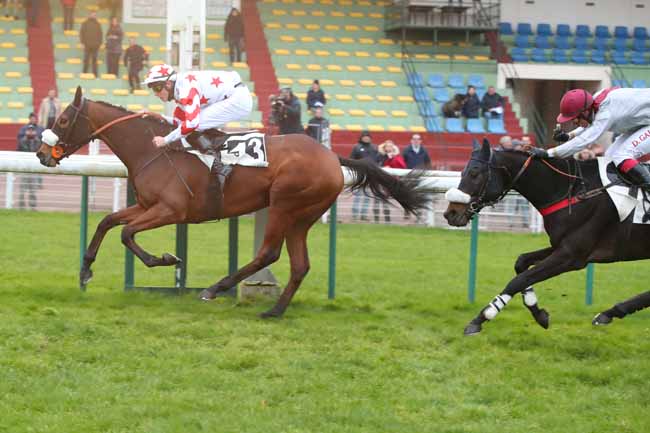 Photo d'arrivée de la course pmu PRIX D'AMIENS à COMPIEGNE le Jeudi 30 novembre 2023