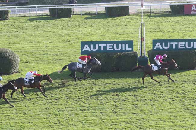 Photo d'arrivée de la course pmu PRIX NUPSALA à AUTEUIL le Samedi 2 décembre 2023