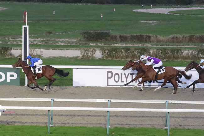 Photo d'arrivée de la course pmu PRIX DE LA GAGNERIE à DEAUVILLE le Dimanche 3 décembre 2023