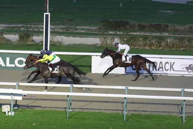 Photo d'arrivée de la course pmu PRIX DE MORICAUD à DEAUVILLE le Dimanche 3 décembre 2023