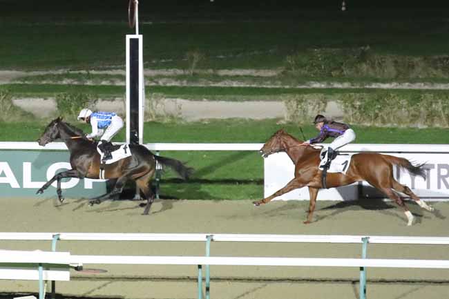 Photo d'arrivée de la course pmu PRIX DE FERGAND à DEAUVILLE le Dimanche 3 décembre 2023