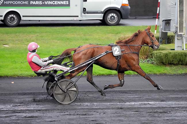 Photo d'arrivée de la course pmu PRIX DE CRESSERONS à PARIS-VINCENNES le Lundi 4 décembre 2023