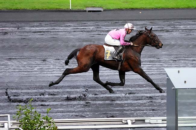 Photo d'arrivée de la course pmu PRIX DE MARANS à PARIS-VINCENNES le Lundi 4 décembre 2023