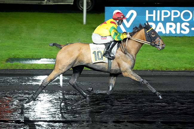 Photo d'arrivée de la course pmu PRIX DE SABLE-SUR-SARTHE à PARIS-VINCENNES le Lundi 4 décembre 2023