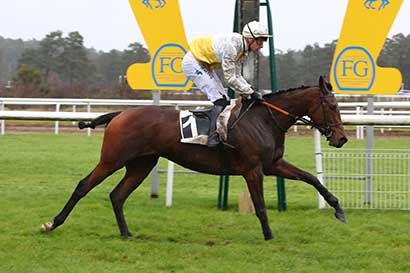 Photo d'arrivée de la course pmu PRIX DU PAVE DU ROY à FONTAINEBLEAU le Mardi 5 décembre 2023