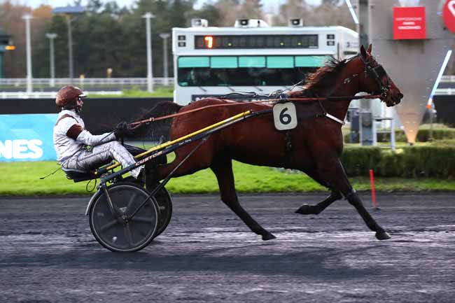 Photo d'arrivée de la course pmu PRIX EUNOMIA à PARIS-VINCENNES le Mardi 5 décembre 2023