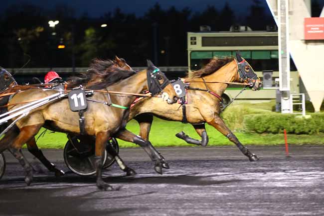Photo d'arrivée de la course pmu PRIX DES CAMELIAS à PARIS-VINCENNES le Mardi 5 décembre 2023