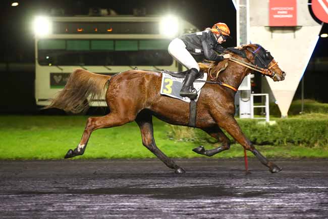 Photo d'arrivée de la course pmu PRIX DE CASTELLANE à PARIS-VINCENNES le Mardi 5 décembre 2023